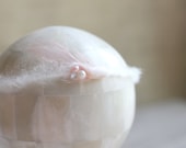 mini shell pink halo/tieback