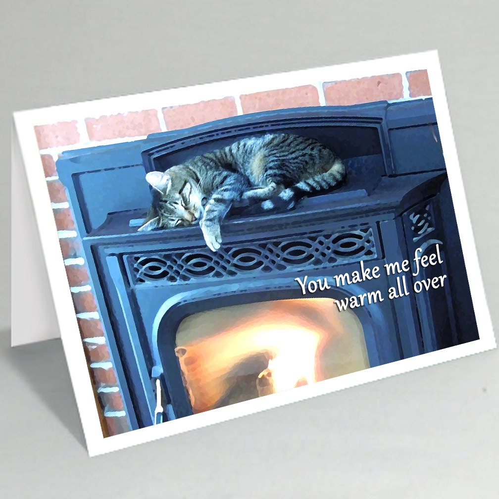 Cute cat card - Valentine card Anniversary card Mothers day card Fathers day card BFF card - Cute card funny card (Ready to ship) 053CC