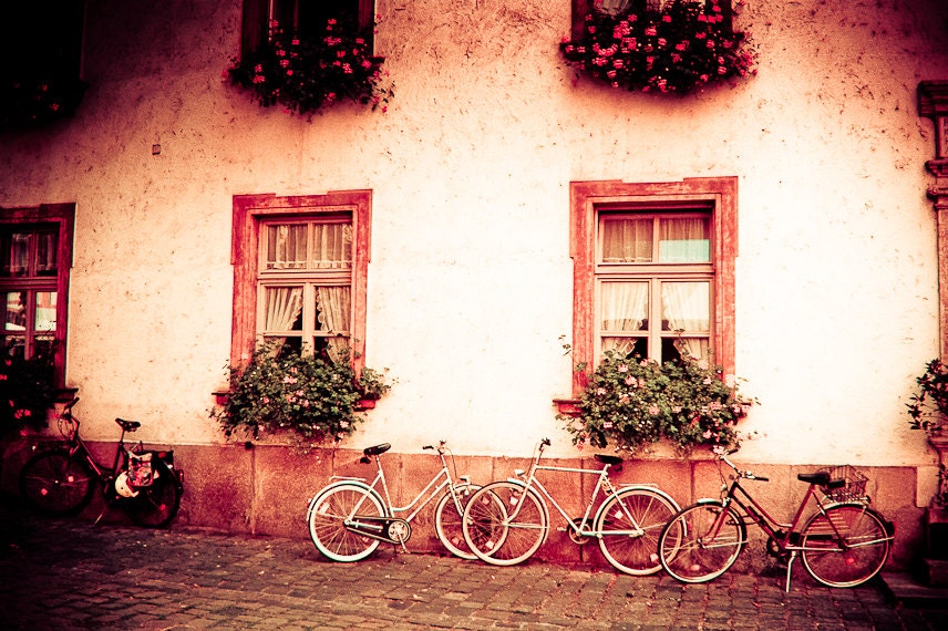 Bicycle Photography germany shabby chic flowers window boxes geraniums pink green Radstander, the bike stand 11x14 fine art - brandMOJOimages