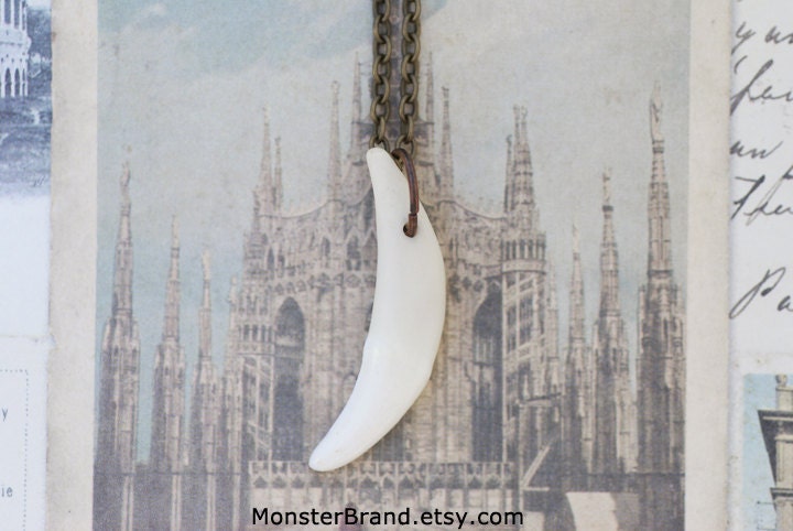 Genuine Coyote Tooth Necklace