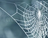 WINTER WEB - Fine Art Photography - 8 x 12 - Frozen Spider's Web - Winter Scene, Surreal Nature Bokeh, Spider Home, Rustic Wall Art, WHITE