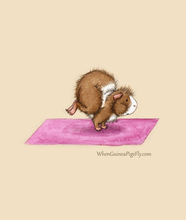 Crane Pose - Guinea Pig Yoga Art Print 5x7