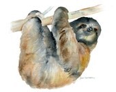 Sloth Watercolor Painting Giclee Print 11 x 14