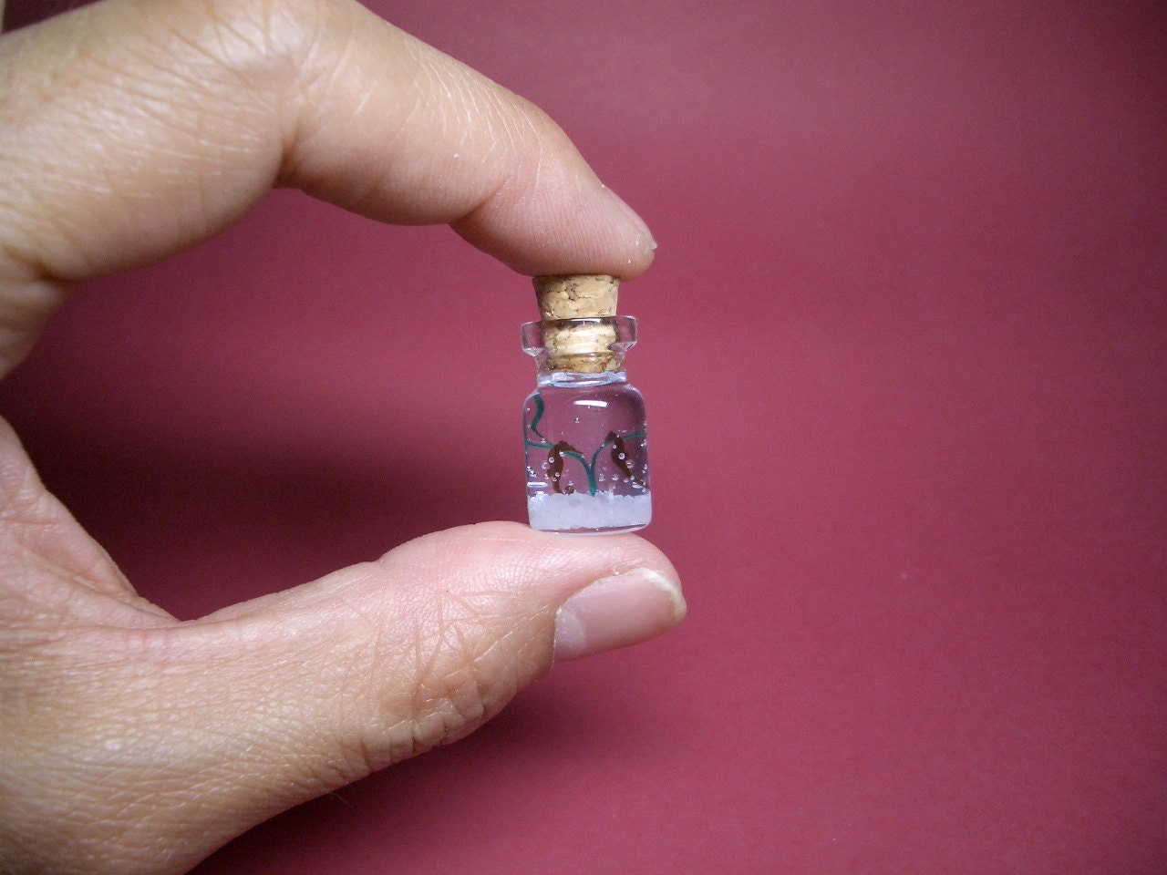 A couple of seahorse in a tiny bottle