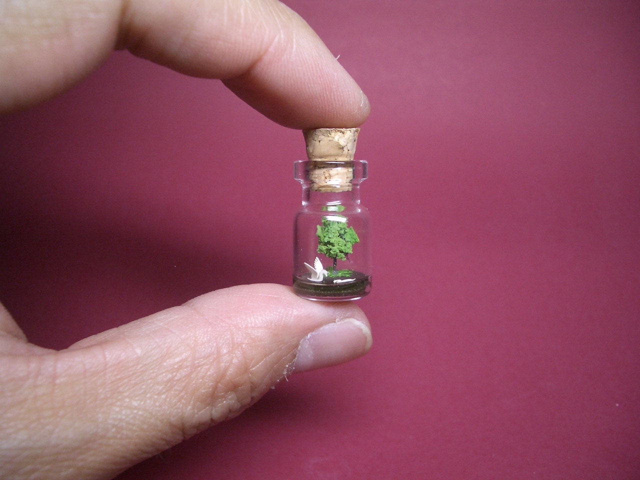 Swans are in the lake in a tiny bottle
