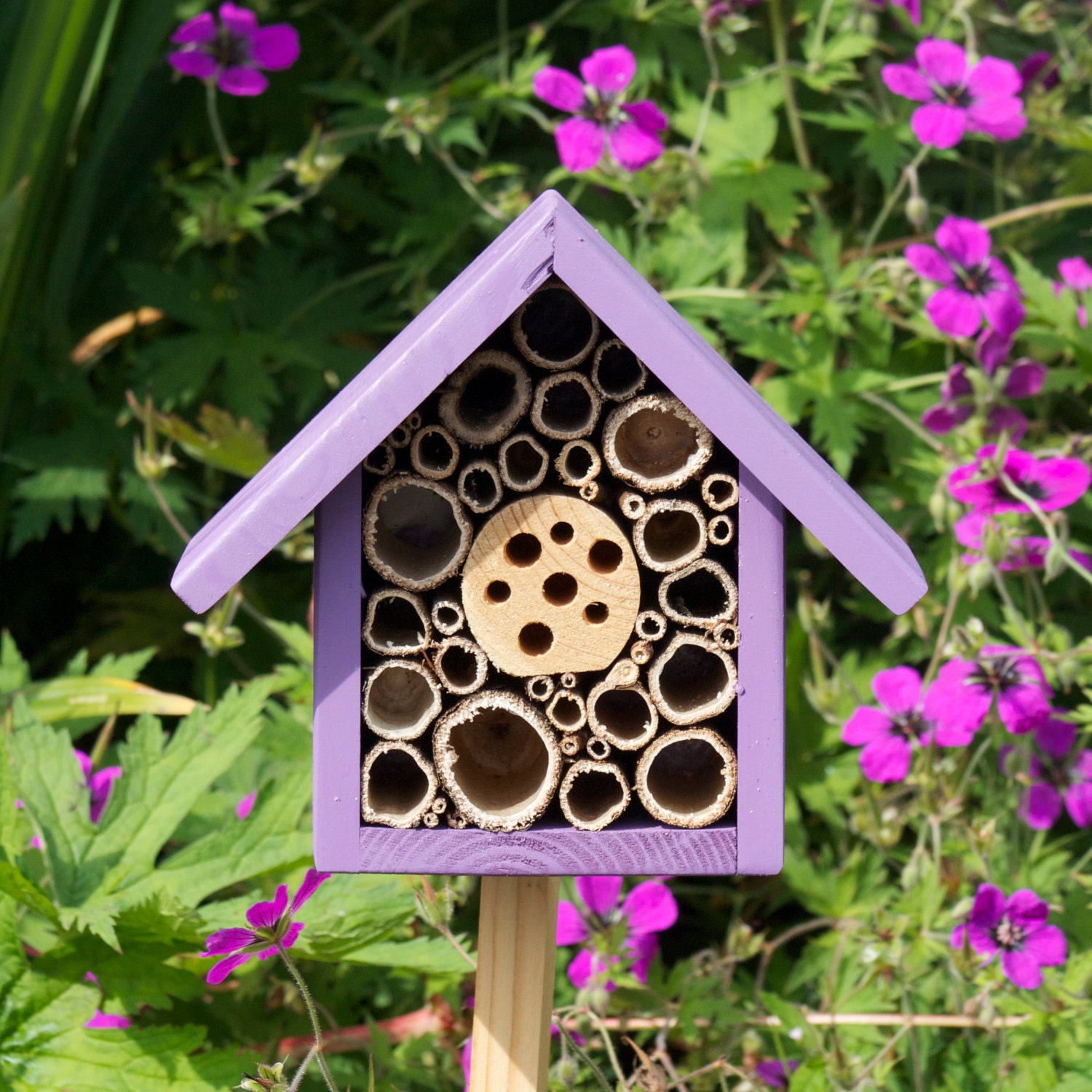Single Tier Insect and Bee Hotel, Purple Pansy.