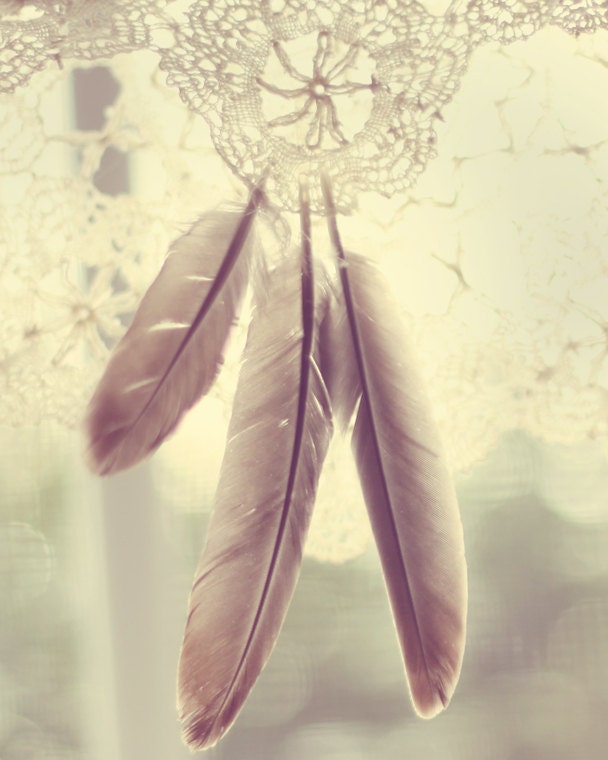dream catcher photo bohemian decor feather photography dreamy boho wall art print 8x10 brown sage green beige