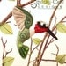 Hummingbird Sewing Pattern PDF - Backyard Bird Stuffed Ornament - Felt Plushie - Harold the Hummingbird