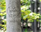 Personalized Tree Carving Couple Art- You Choose Names Carved in Tree- Unique Engagement, Anniversary, Wedding Gift