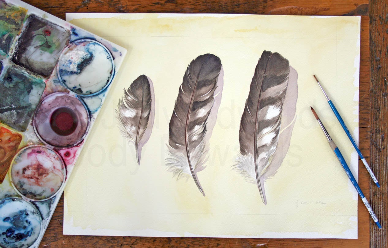 Cooper's Hawk Feathers Study - Large Watercolour Original