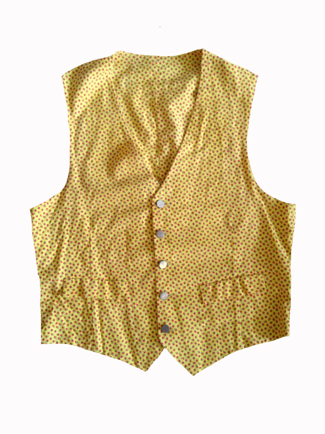Best Dressed Vest
