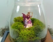 TERRARIUM, Extra Large VIBE JAR, Fairy, Moss Terrariums by mossterrariums on Etsy