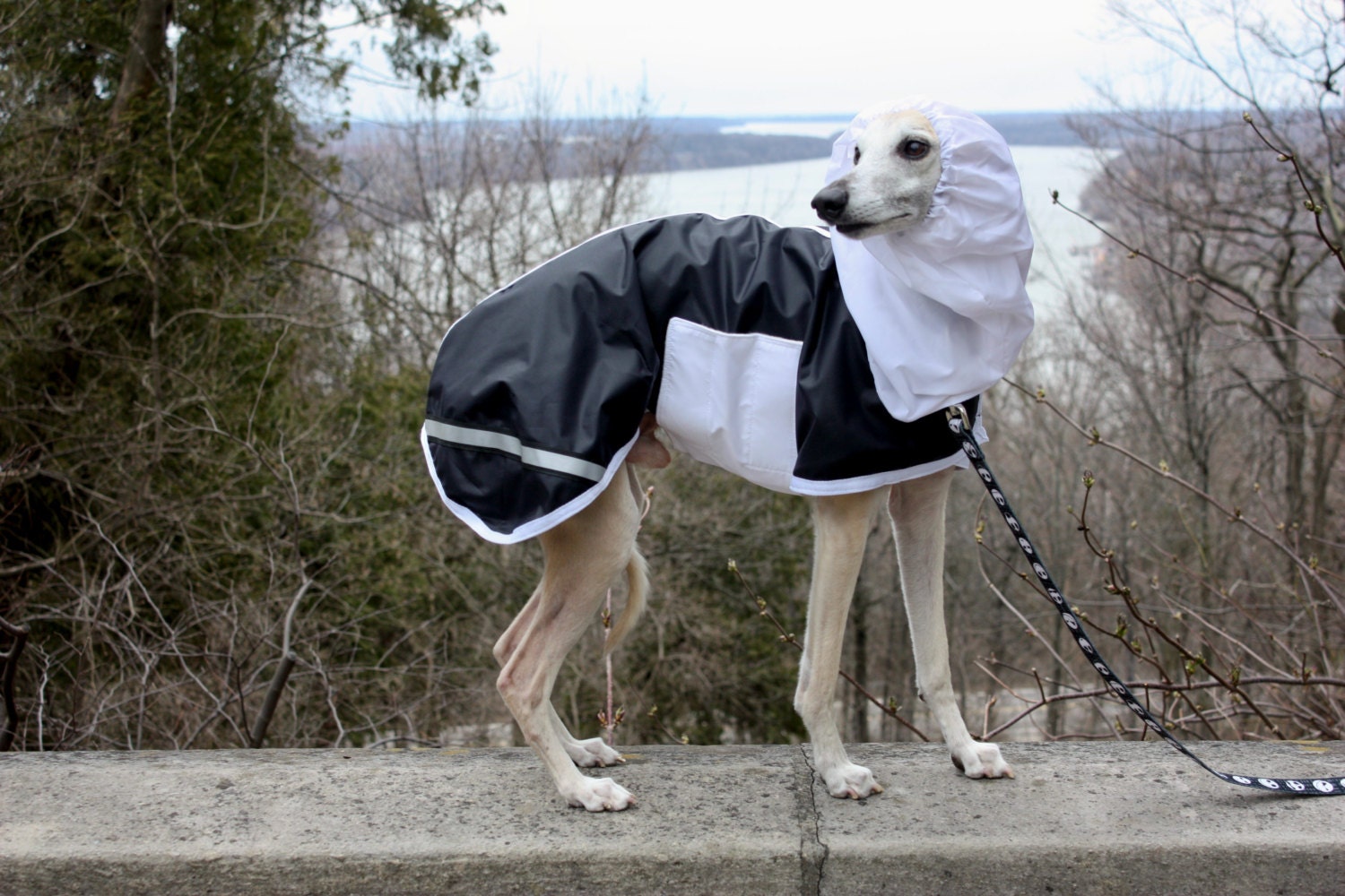 Tootlewear's Sighthound Raincoat SMALL