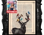 Beautiful Stag Art Print - Our ORIGINAL ARTWORK Stag with birds colorful birds with deer book page dictionary print