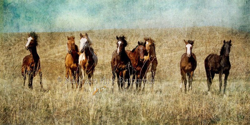 Bright Future - Fine Art Photography 20" x 40" giclee print on canvas