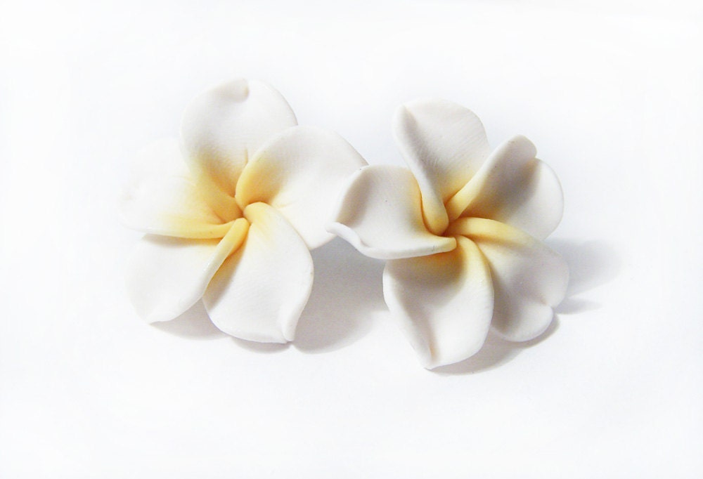 Plumeria Frangipani White Earrings, Hawaii Flowers leverback earrings - IskraCreations