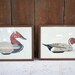 Two Vintage Hand Made Needle Point Ducks - Framed Vintage Art
