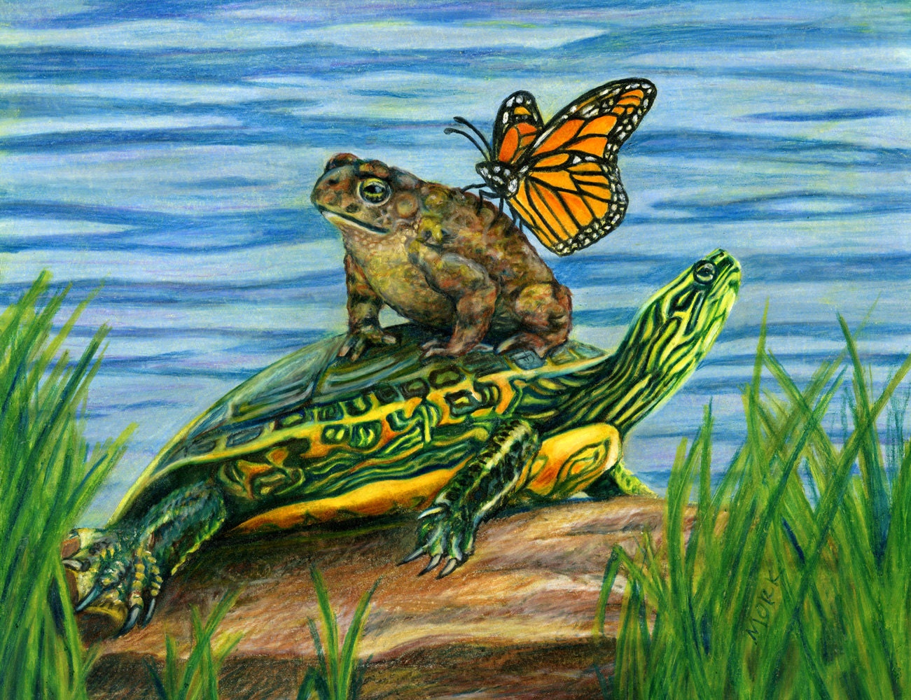Giclee print - Toad, Turtle and Butterfly - Art Print matted to 10x8"