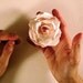 Origami Rose instructional video (duration 29min 30sec)