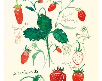 Strawberry poster, Watercolor fruits, 8X10 kitchen decor, botanical print, Food art, Red home decor, seasonal fruit illustration