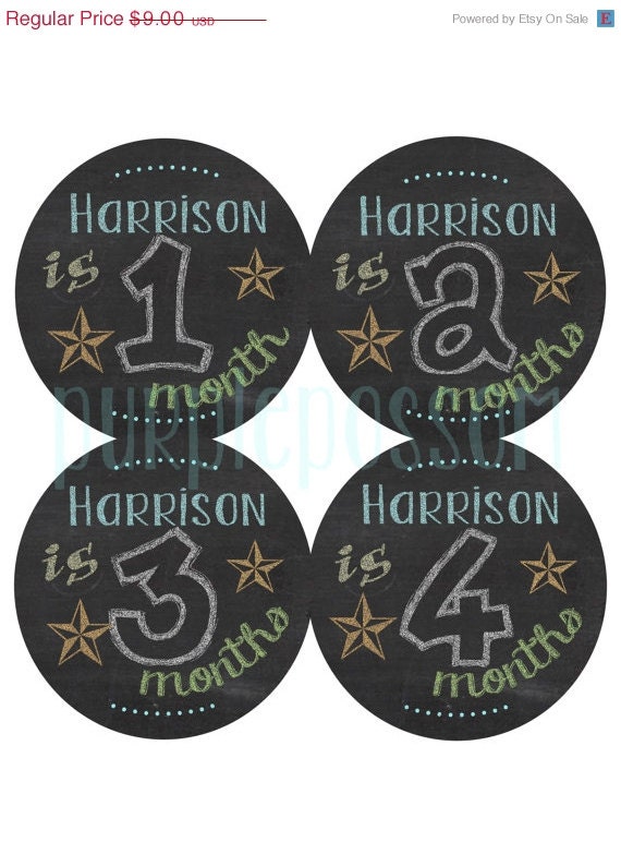 Baby Month Stickers Baby Boy Girl Monthly Onesie Stickers Monthly Onesie Sticker Baby Shower Gift Photo Prop Baby Milestone Add Babies Name