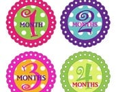 SALE Monthly Onesie Stickers - Izzy - Waterproof Baby Stickers Months 1-12 -  Original Seller of Onesie Stickers