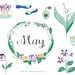 CLIP ART - May - for commercial and personal use