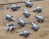 10 Tortoise Charms