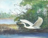 Print open edition 8 by 10 Florida bird bowman