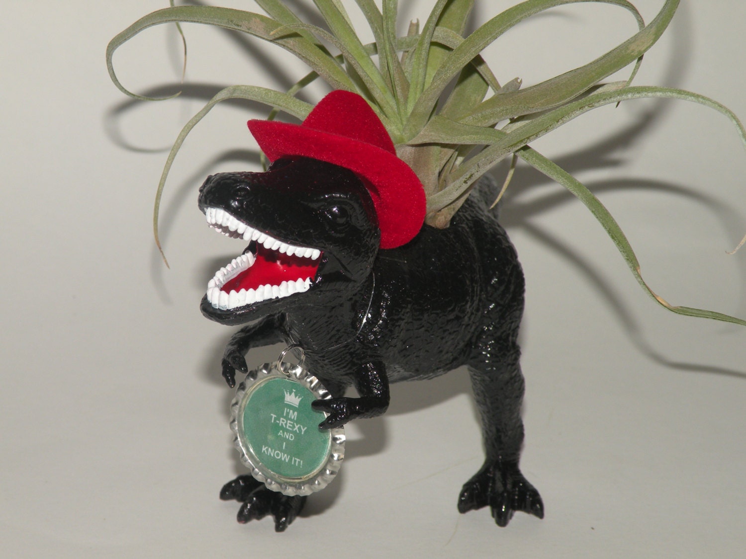 T Rex dinosaur planter with air plant.  Perfect fun loving boyfriend gift.