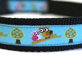 Cute Owls Spring ribbon collar