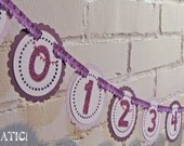 Shades of Purple Just Born/0-12 mos Picture Banner. First Birthday Photo Banner. First Birthday Banner. First Year Banner. Il_170x135