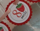 Sweet Strawberry Collection: Just Born/0-12 mos Banner. First Year Banner. First Birthday Banner. Birthday Photo Banner. Il_170x135