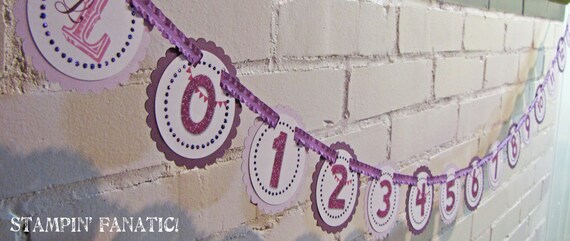 Shades of Purple Just Born/0-12 mos Picture Banner. First Birthday Photo Banner. First Birthday Banner. First Year Banner. Il_570xn