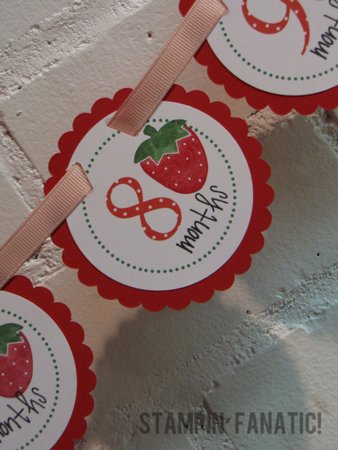 Sweet Strawberry Collection: Just Born/0-12 mos Banner. First Year Banner. First Birthday Banner. Birthday Photo Banner. Il_570xn