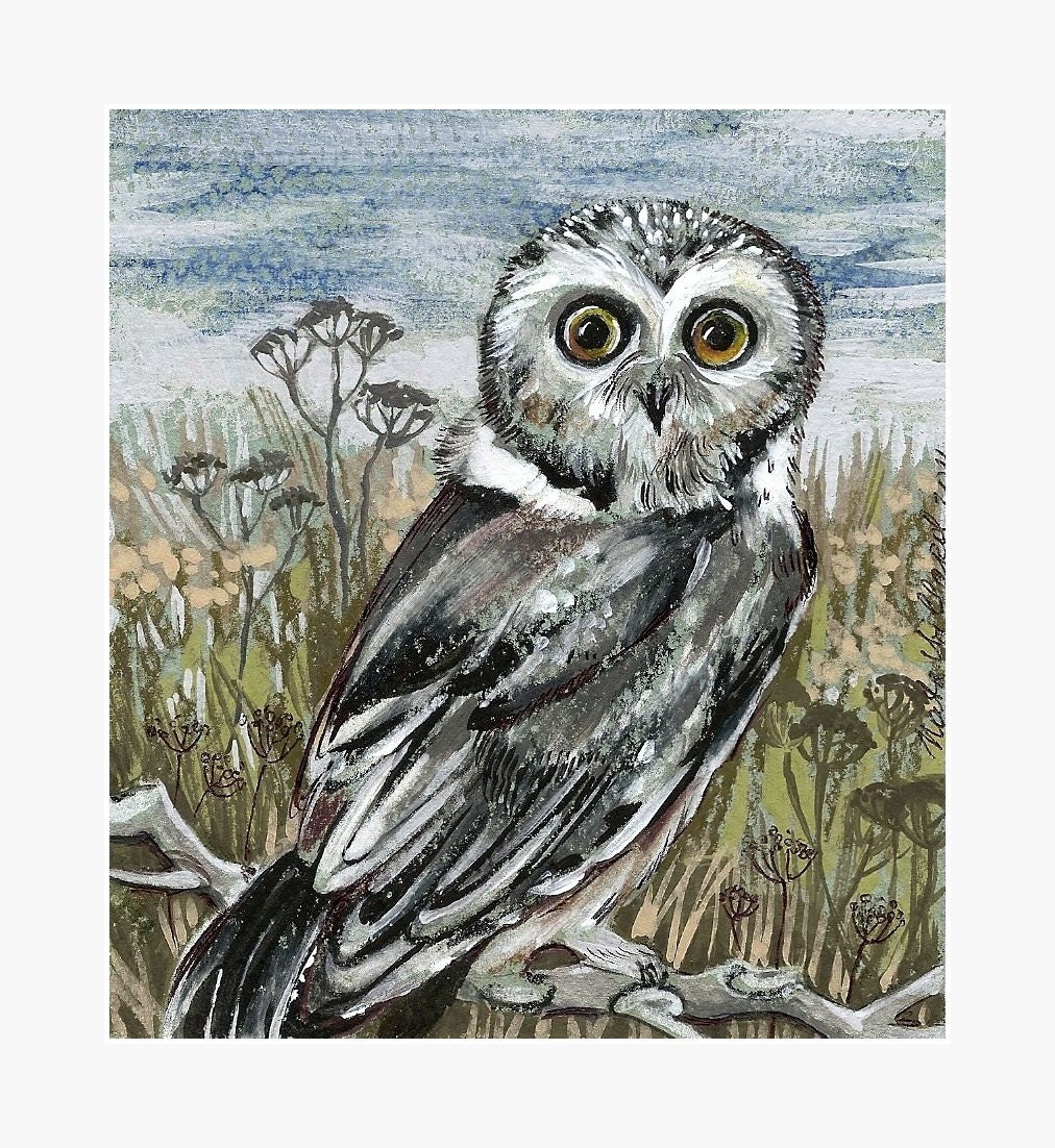 OWL  Bird  original painting