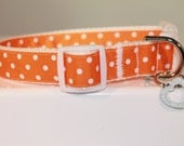 Large 1" Orange Polka Dot Collar