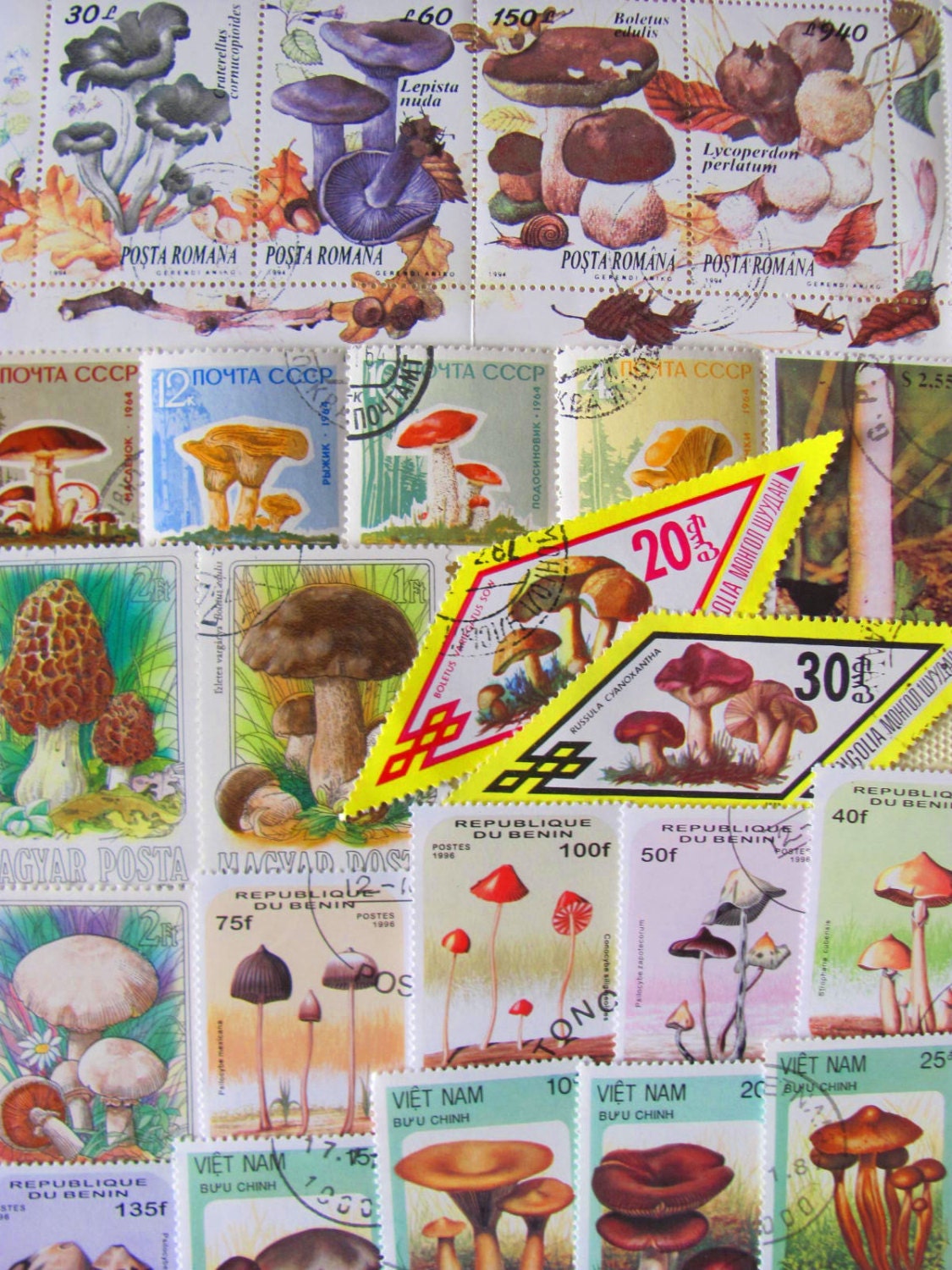 Mushroom Mania Premium Vintage Modern 50 Worldwide Mushroom Postage Stamps Philately Horticulture Fungi Fungus Mycology 2