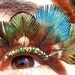 Green Peacock Feather Eyelash Jewelry with gold and green feathers