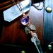 Quartz and Ametrine Necklace