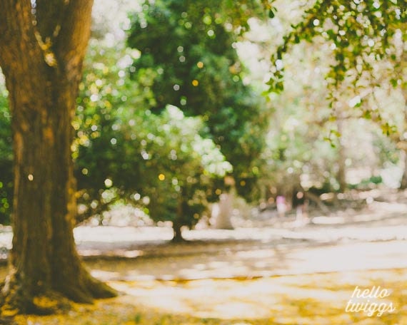 BOGO SALE - Landscape, Nature Photography, Yellow Flowers, Spring Print, Dreamy Whimsical Print, Wall Decor - A perfect day