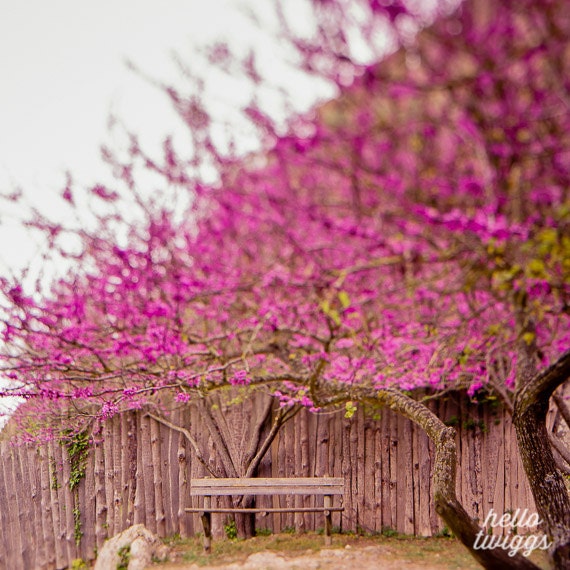 Spring Photography, Pink Print, Blossom, Flower Photography, Girls Room Decor, Wall Art - Sit here with me