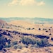 Wild West Fine Art Metallic photo Print 4x6