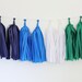 Tissue Tassel Garland Kit - Modern