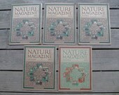 beautiful lot of 5 antique Art Deco NATURE magazines from 1925