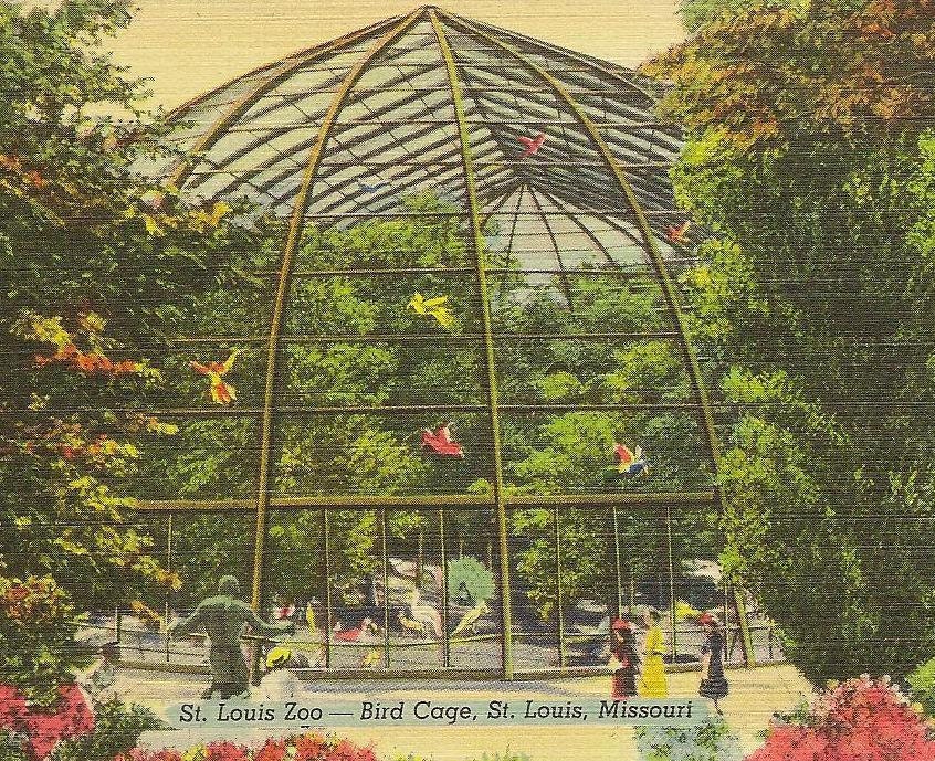 Bird Cage St Louis Zoo unused vintage linen by TheOldBarnDoor