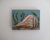 Whelk Shell Miniature Painting, Original Artwork, 2.5  x 3.5 inches