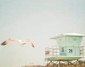 Beach Wall Art, Lifeguard Tower, Mint, Sky, Gull Photograph, California Summer, Blue, White, To The Beach We Go, Summertime , 8x10