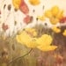 Nature Photography, Poppy Flowers, Boho, Flower Photography, Natural, Yellow, Summertime, Soft Light, 8x10 Print