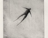 Original Drypoint "Soar"